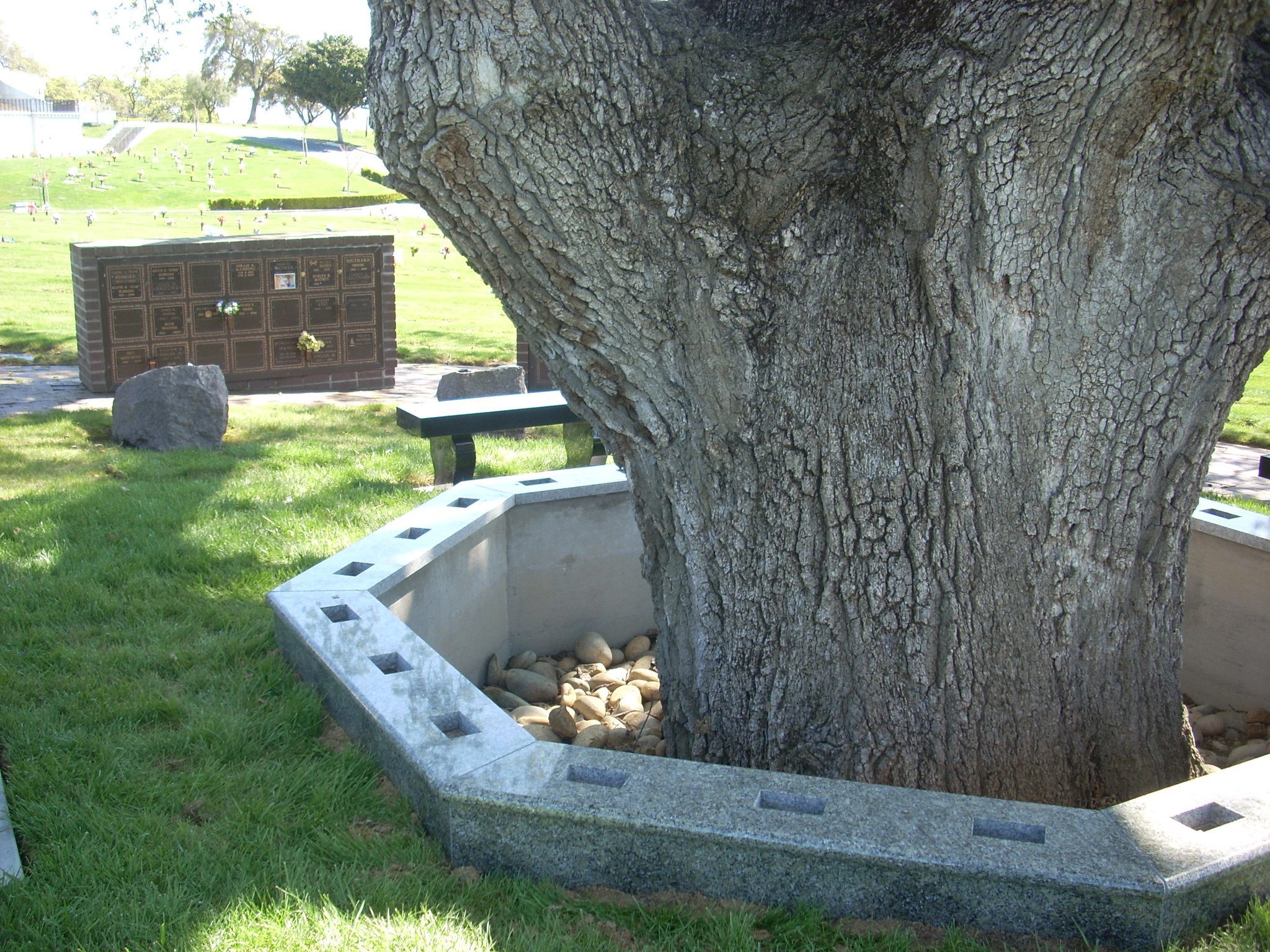 Granite landscape edging memorial for cremated remains - Coldspring